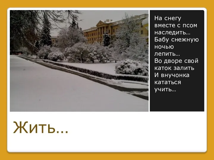 На снегу вместе с псом наследить… Бабу снежную ночью лепить… Во дворе