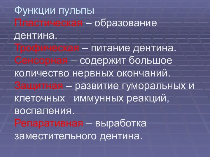 Функции пульпы Пластическая – образование дентина. Трофическая – питание дентина. Сенсорная –