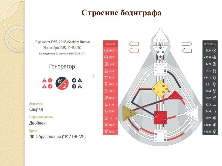 Строение бодиграфа