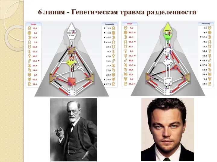 6 линия - Генетическая травма разделенности