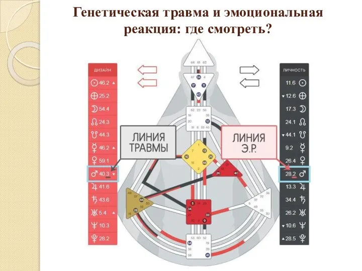 Генетическая травма и эмоциональная реакция: где смотреть?