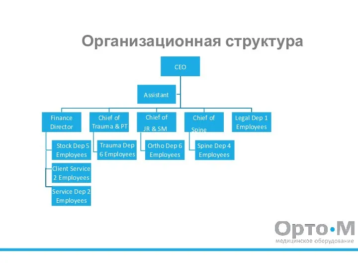 Организационная структура CEO Assistant Finance Director Chief of Trauma & PT Chief