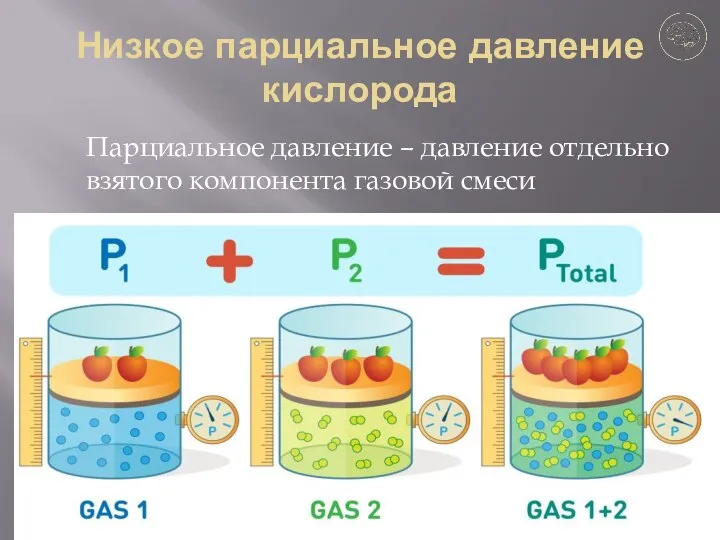 Низкое парциальное давление кислорода Парциальное давление – давление отдельно взятого компонента газовой смеси