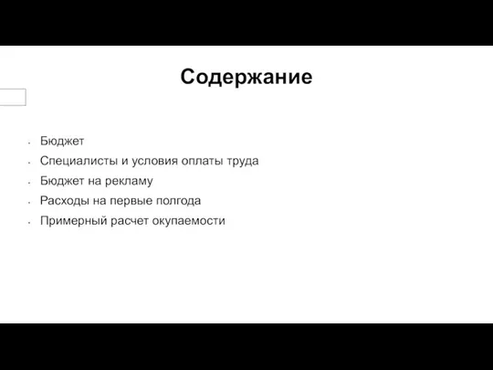 Содержание Бюджет Специалисты и условия оплаты труда Бюджет на рекламу Расходы на