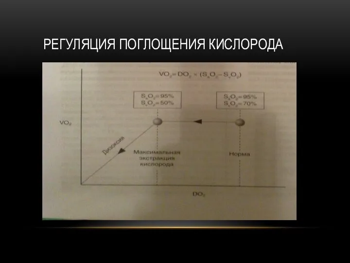 РЕГУЛЯЦИЯ ПОГЛОЩЕНИЯ КИСЛОРОДА