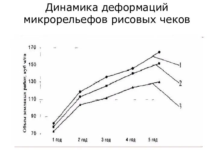 Динамика деформаций микрорельефов рисовых чеков