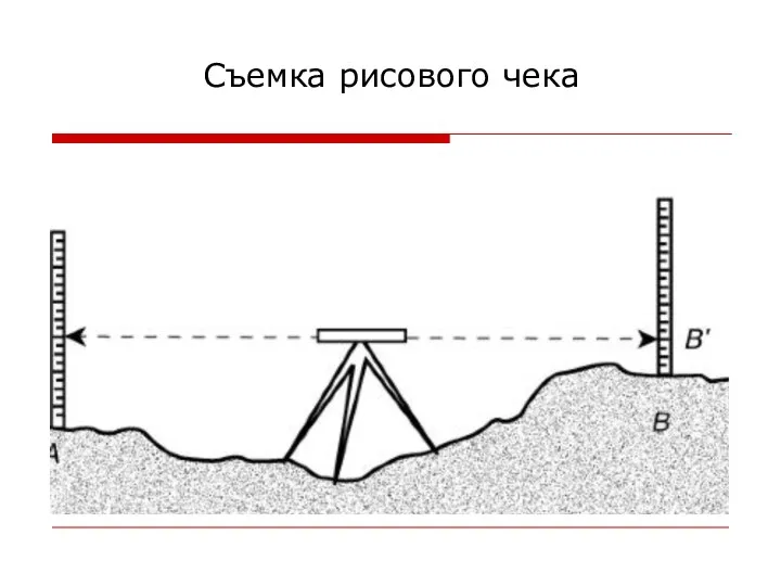 Съемка рисового чека