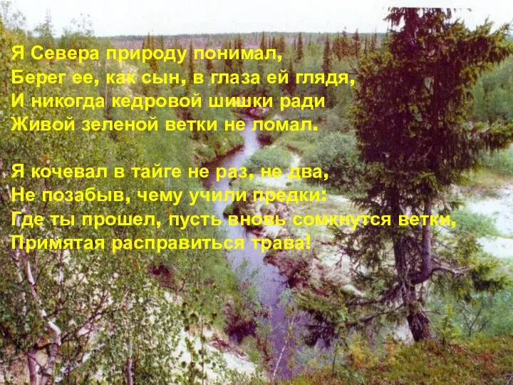 Я Севера природу понимал, Берег ее, как сын, в глаза ей глядя,