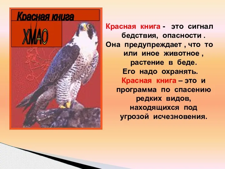 Красная книга - это сигнал бедствия, опасности . Она предупреждает , что