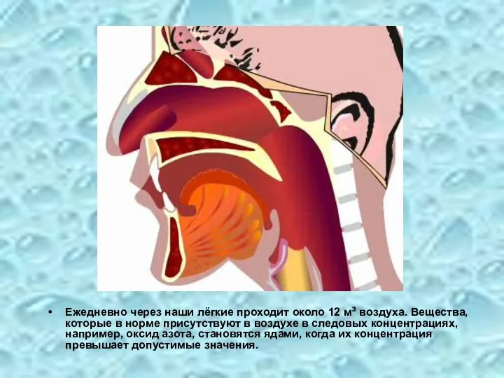 Ежедневно через наши лёгкие проходит около 12 м³ воздуха. Вещества, которые в