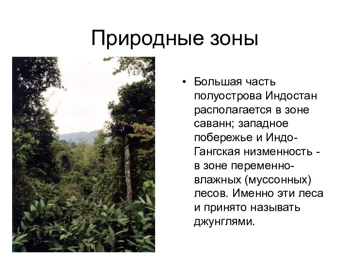 Природные зоны Большая часть полуострова Индостан располагается в зоне саванн; западное побережье