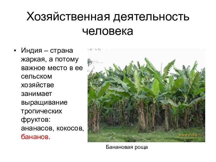 Хозяйственная деятельность человека Индия – страна жаркая, а потому важное место в