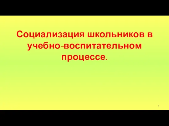 Социализация школьников в учебно-воспитательном процессе.