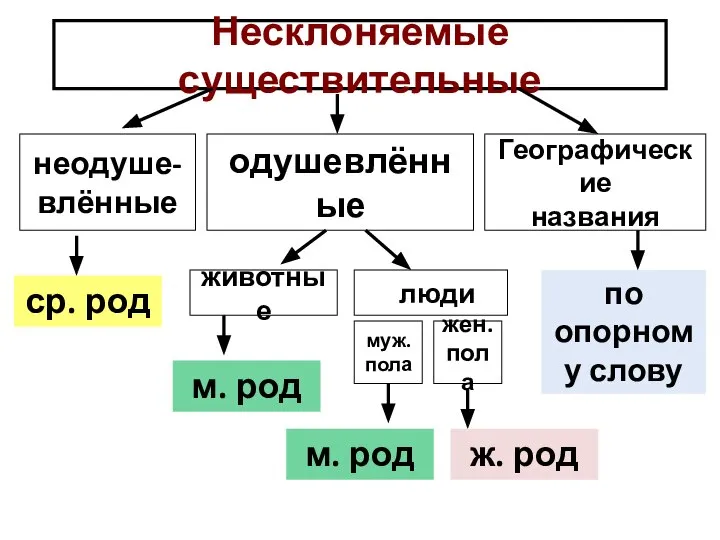 Несклоняемые существительные неодуше- влённые одушевлённые Географические названия животные люди муж. пола жен.