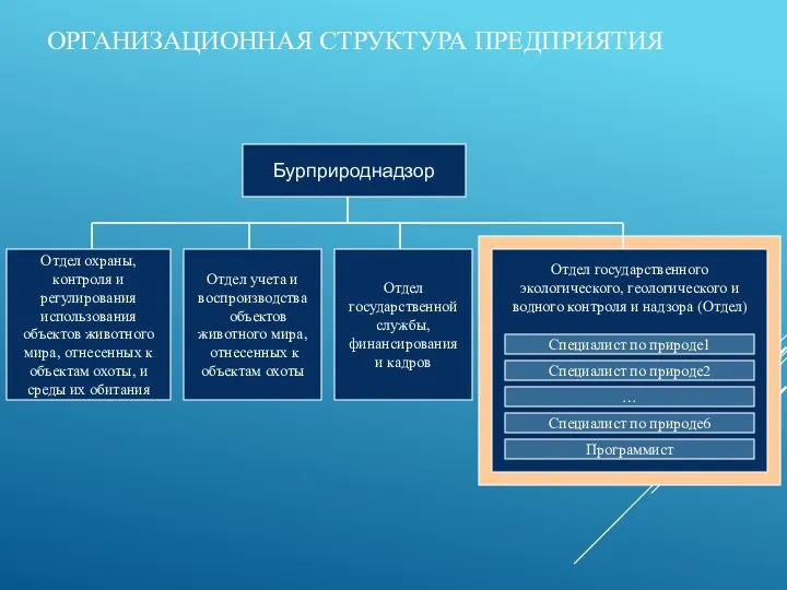 ОРГАНИЗАЦИОННАЯ СТРУКТУРА ПРЕДПРИЯТИЯ