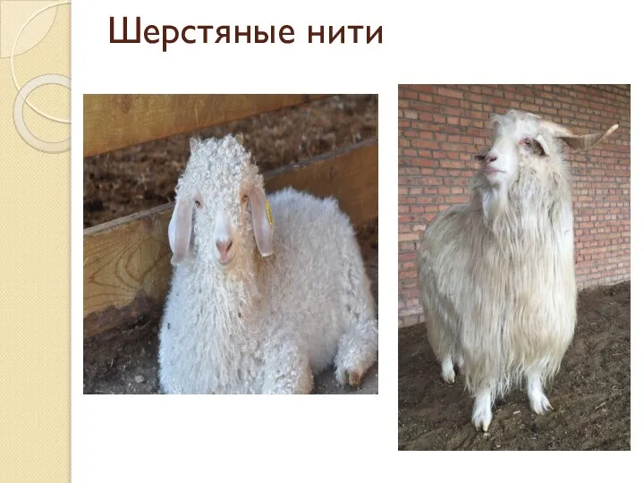 Шерстяные нити