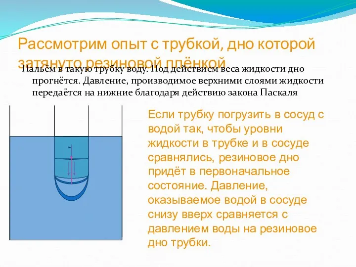 Рассмотрим опыт с трубкой, дно которой затянуто резиновой плёнкой Нальём в такую