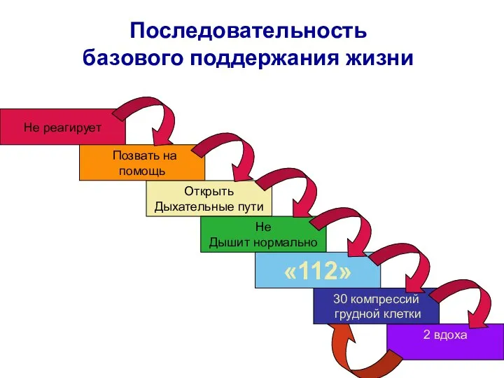 Последовательность базового поддержания жизни 2 вдоха