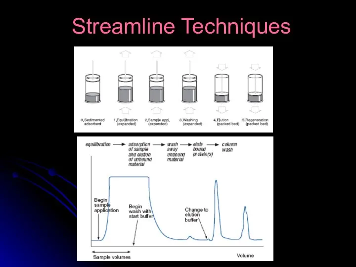 Streamline Techniques