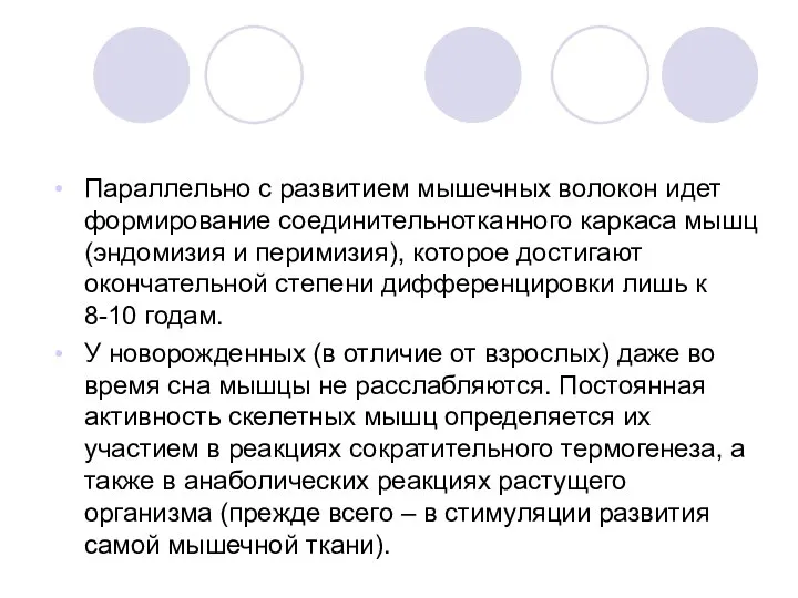 Параллельно с развитием мышечных волокон идет формирование соединительнотканного каркаса мышц (эндомизия и