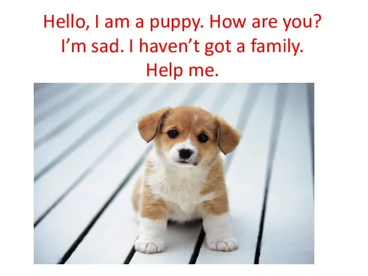 Hello, I am a puppy. How are you? I’m sad. I haven’t