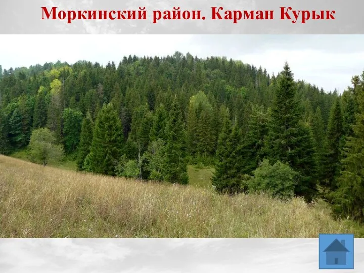 Моркинский район. Карман Курык