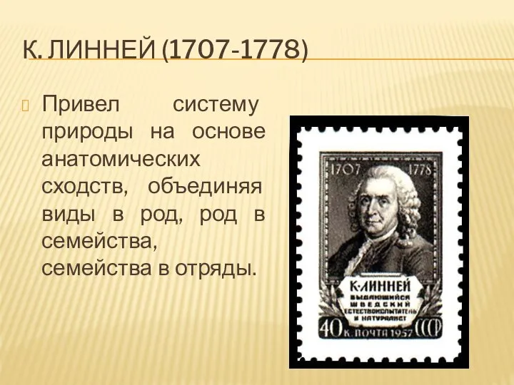 К. ЛИННЕЙ (1707-1778) Привел систему природы на основе анатомических сходств, объединяя виды