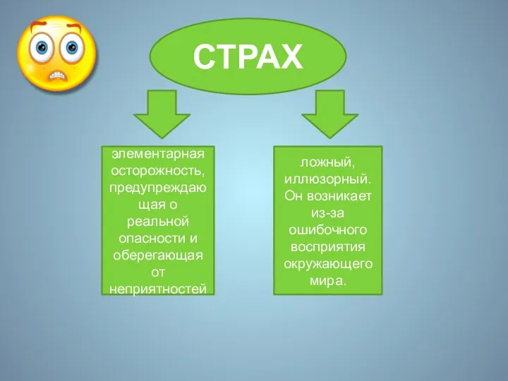 СТРАХ элементарная осторожность, предупреждающая о реальной опасности и оберегающая от неприятностей ложный,