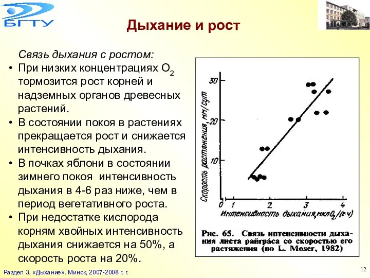 Дыхание и рост Связь дыхания с ростом: При низких концентрациях O2 тормозится