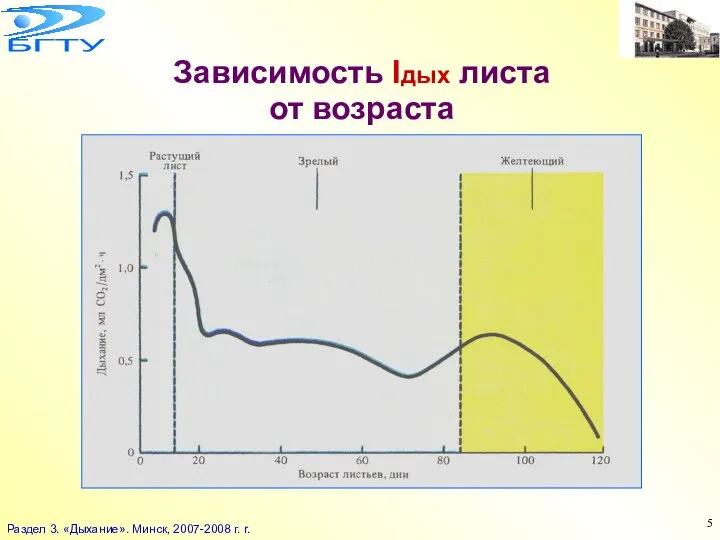 Зависимость Iдых листа от возраста