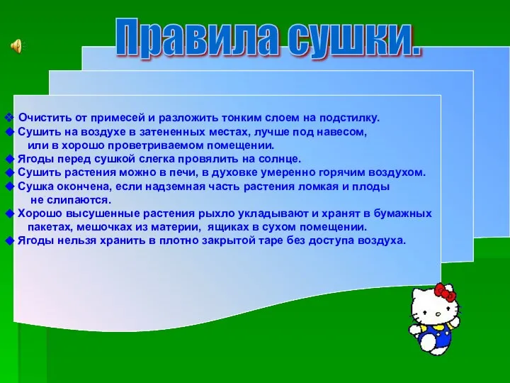 Правила сушки. Очистить от примесей и разложить тонким слоем на подстилку. Сушить