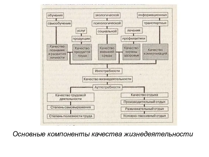 Основные компоненты качества жизнедеятельности