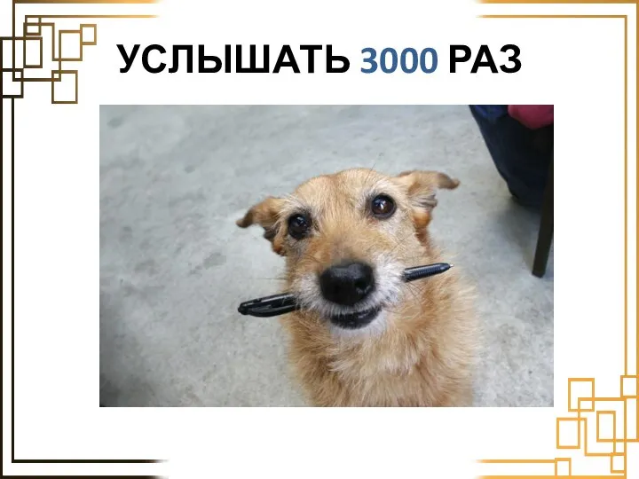 УСЛЫШАТЬ 3000 РАЗ