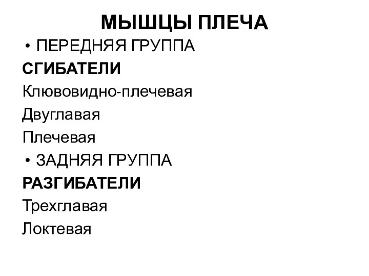 МЫШЦЫ ПЛЕЧА ПЕРЕДНЯЯ ГРУППА СГИБАТЕЛИ Клювовидно-плечевая Двуглавая Плечевая ЗАДНЯЯ ГРУППА РАЗГИБАТЕЛИ Трехглавая Локтевая