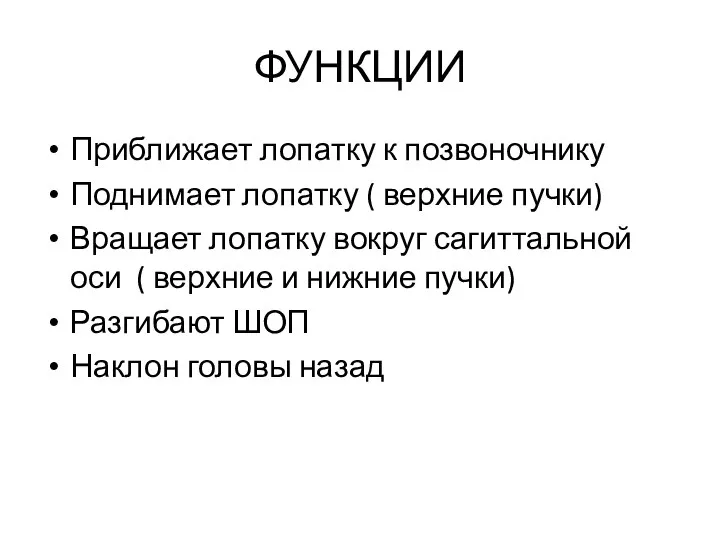 ФУНКЦИИ Приближает лопатку к позвоночнику Поднимает лопатку ( верхние пучки) Вращает лопатку