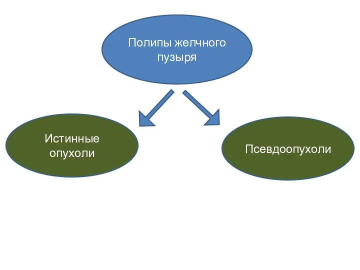 Полипы желчного пузыря Истинные опухоли Псевдоопухоли