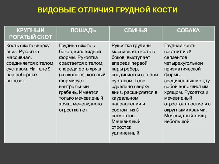 ВИДОВЫЕ ОТЛИЧИЯ ГРУДНОЙ КОСТИ