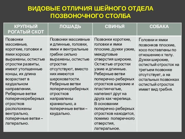 ВИДОВЫЕ ОТЛИЧИЯ ШЕЙНОГО ОТДЕЛА ПОЗВОНОЧНОГО СТОЛБА