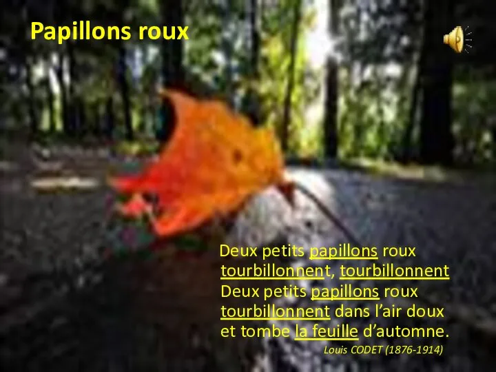 Papillons roux Deux petits papillons roux tourbillonnent, tourbillonnent Deux petits papillons roux