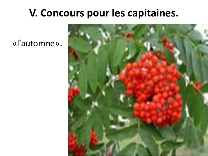 V. Concours pour les capitaines. «lʹautomne».