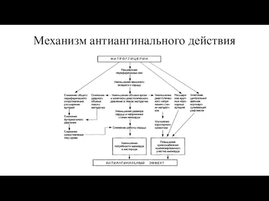 Механизм антиангинального действия