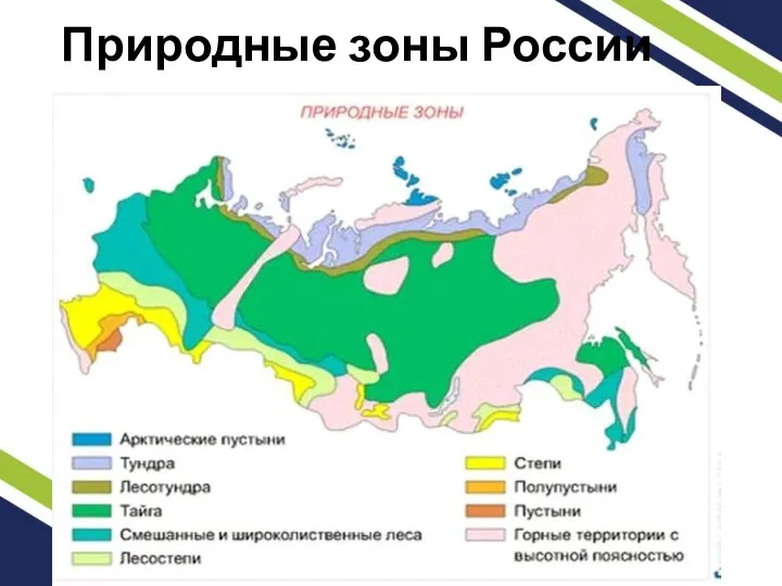 Природные зоны России