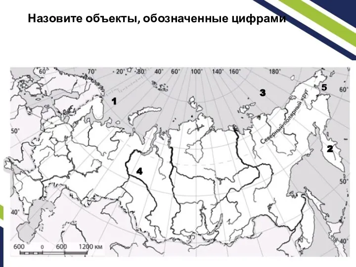 Назовите объекты, обозначенные цифрами 1 2 3 4 5