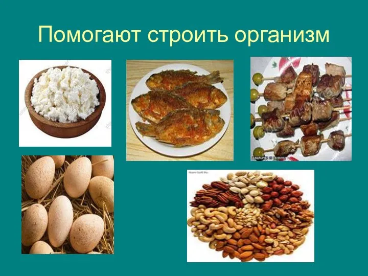 Помогают строить организм