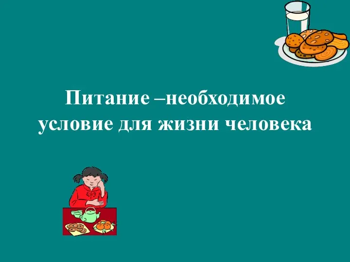 Питание –необходимое условие для жизни человека