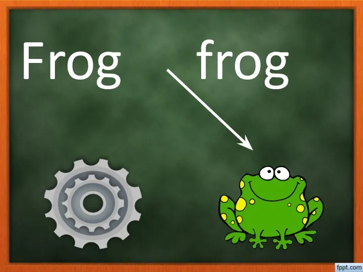 Frog frog