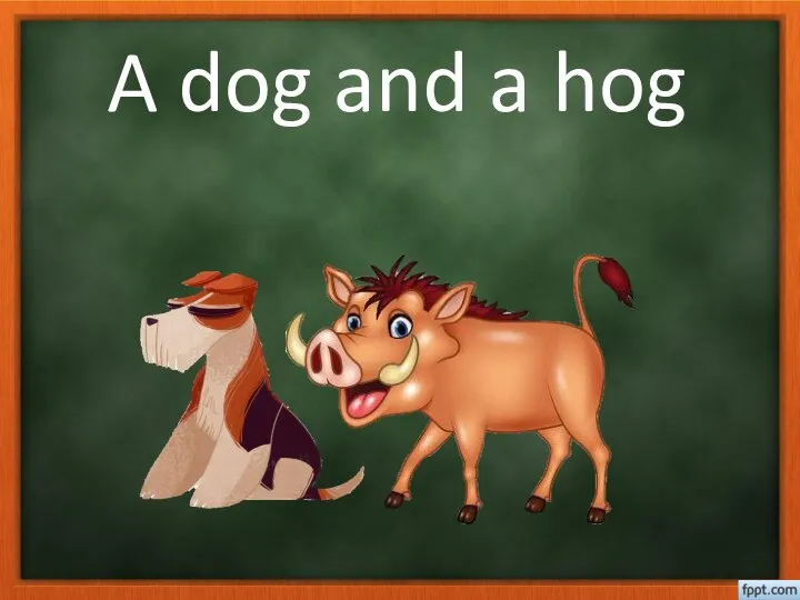 A dog and a hog