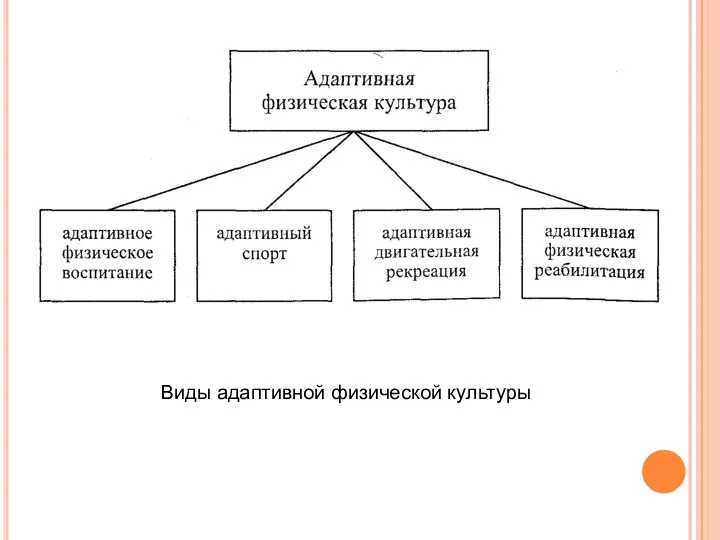 Виды адаптивной физической культуры