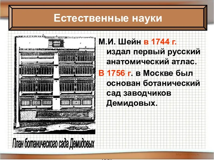 * Антоненкова Анжелика Викторовна МОУ Будинская ООШ М.И. Шейн в 1744 г.