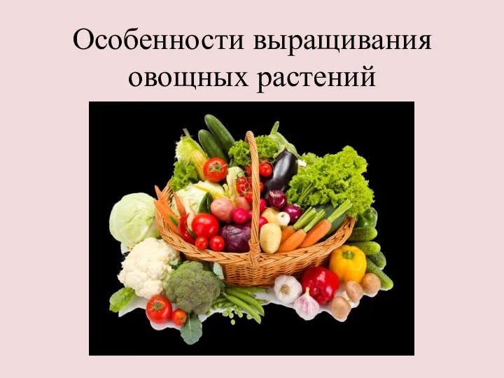 Особенности выращивания овощных растений
